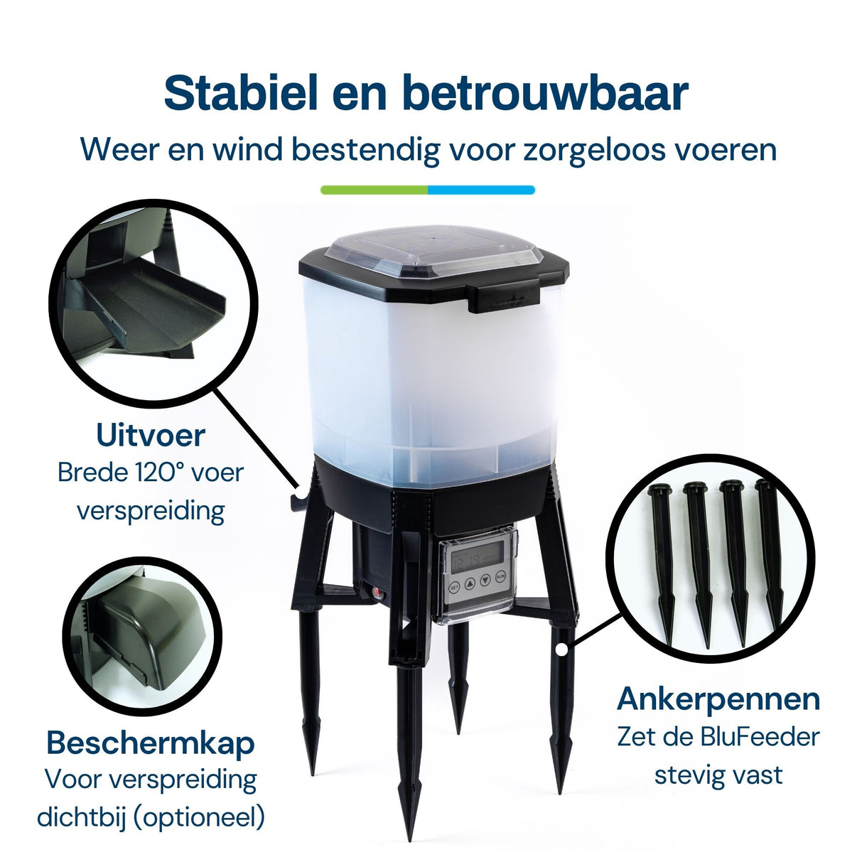 BGSF-6_nl_3.jpg