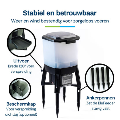 BGSF-6_nl_3.jpg