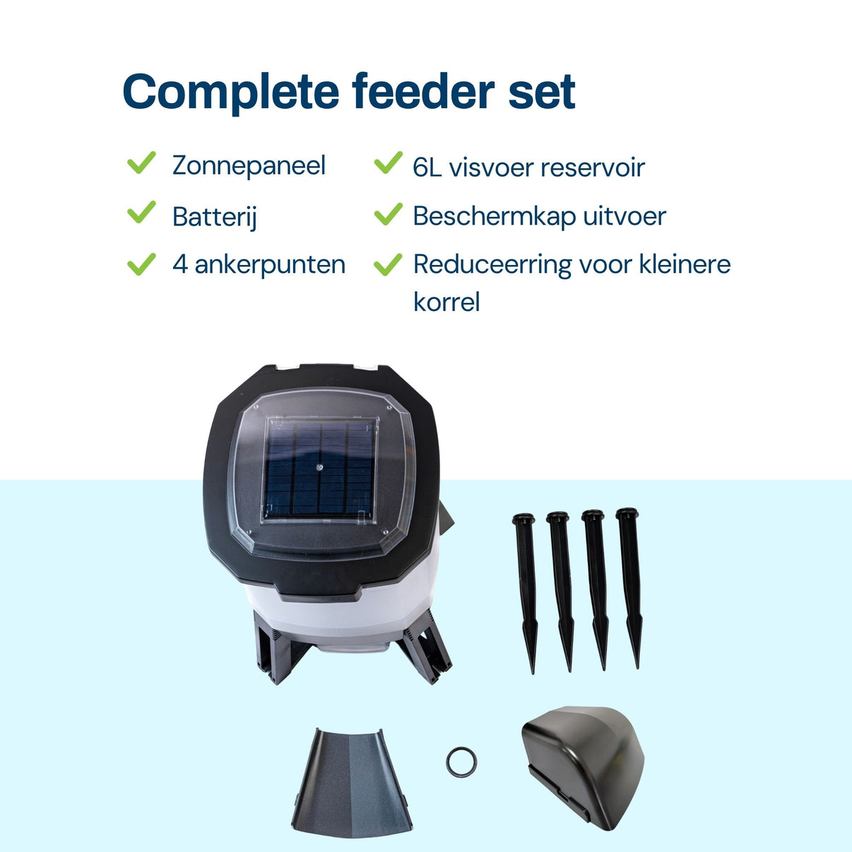 BGSF-6_nl_6.jpg