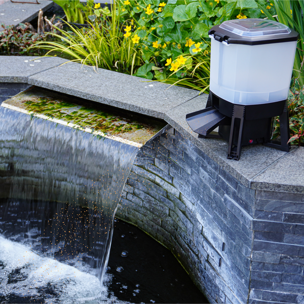 Makkelijk op te stellen langs je vijver