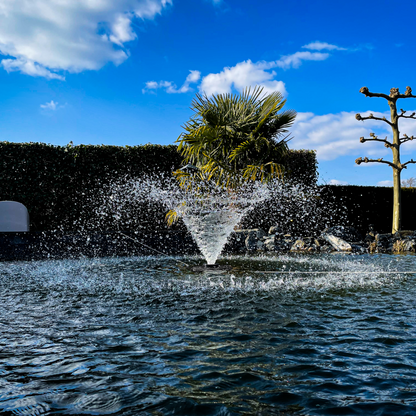 BluFountain 20.000 - Fontaine à Aération Flottante - Calice de 3m de large - Noir