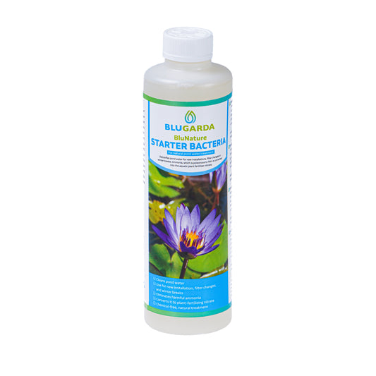 BluNature Starter Bacteria - Bactérie starter pour bassin - 500ml