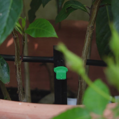 Agrodrip - Kit système goutte à goutte pour 30 pots de fleurs